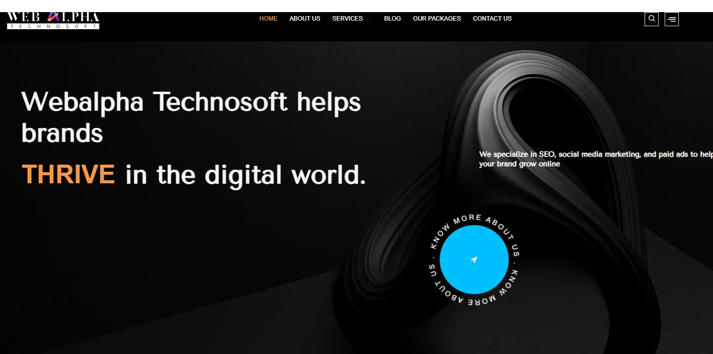Portfolio Image